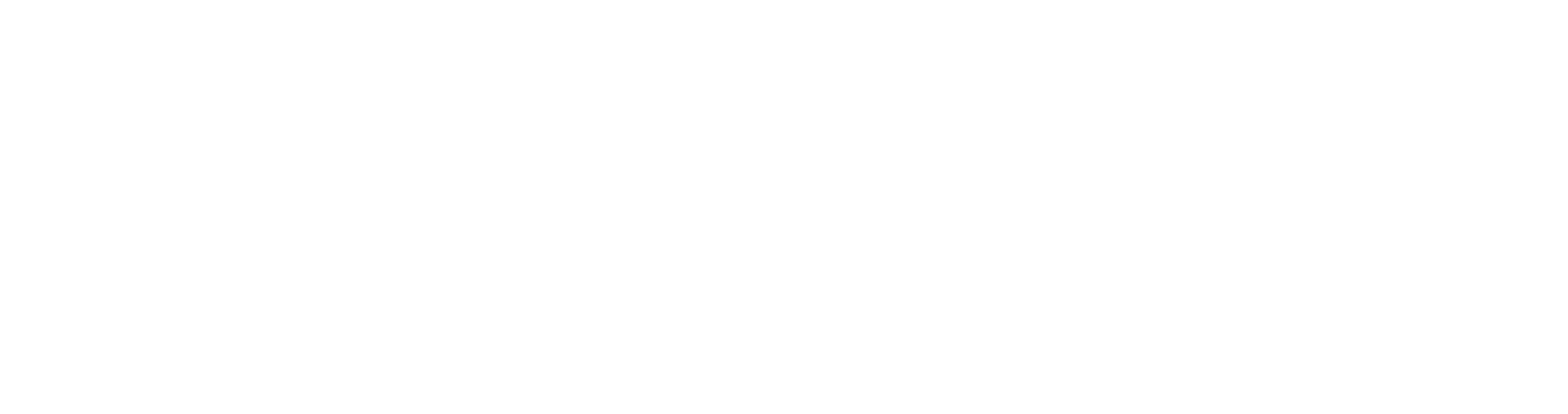 BFF Shop Logo - White