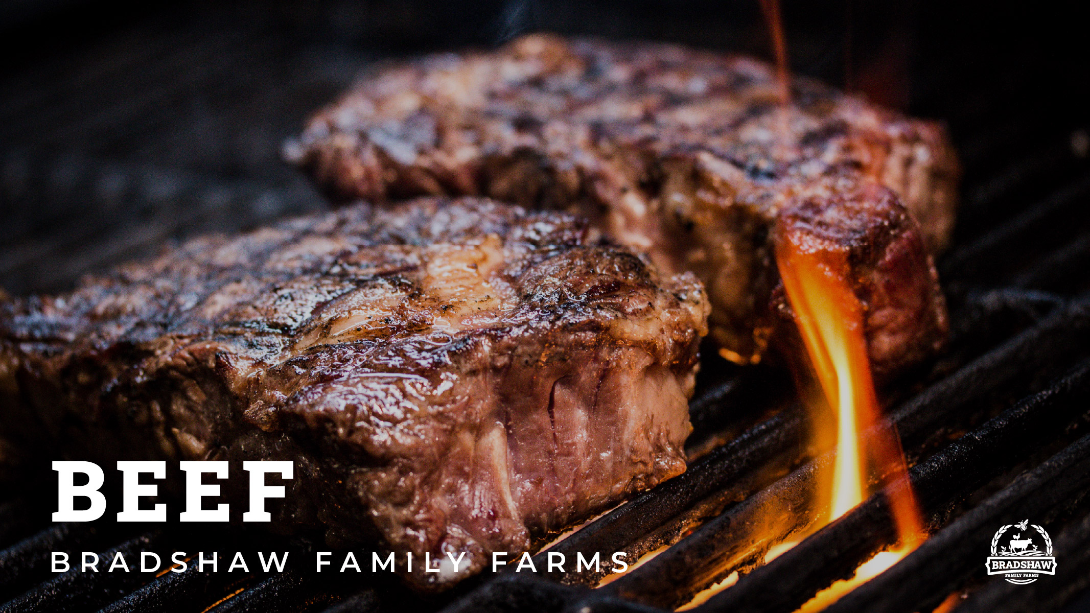 Beef Photo