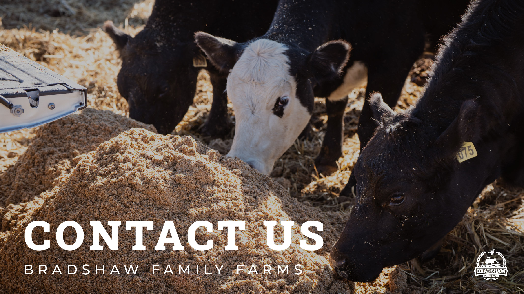 Contact Us BFF