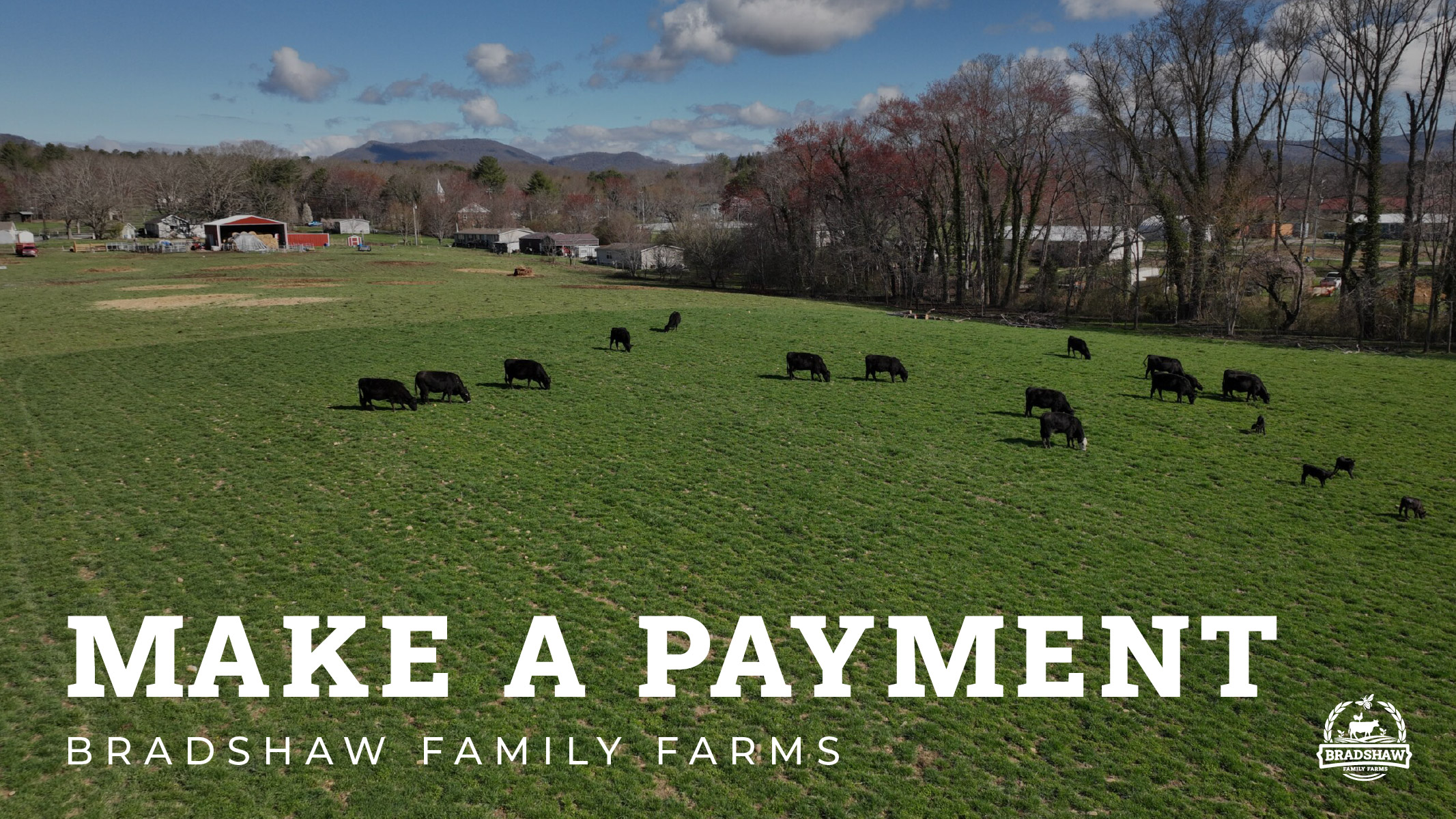 Make a Payment